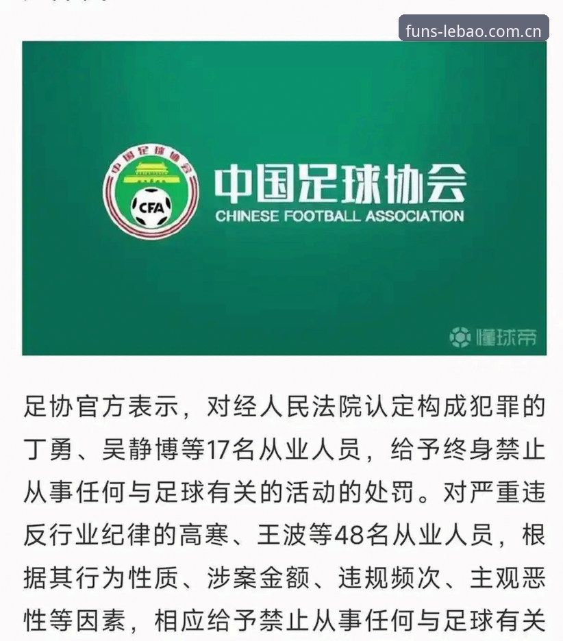 中国足协第三批禁足名单全面解析：17人终身禁赛，48人受行业重罚